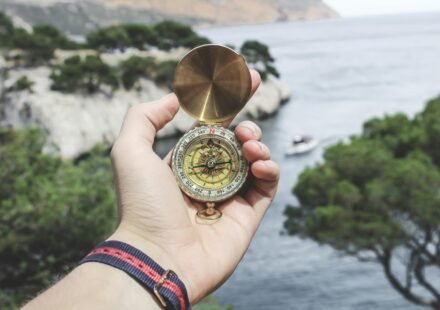 perfil do investidor