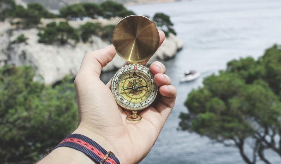 perfil do investidor